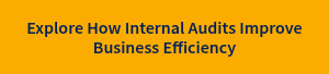 Explore How Internal Audits Improve Business Efficiency