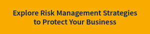 Explore Risk Management Strategies to Protect Your Business