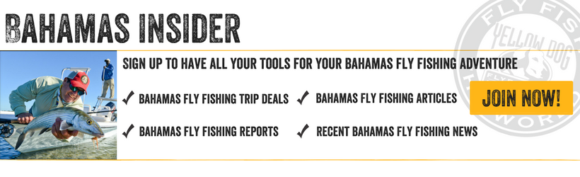 Bahamas Insider