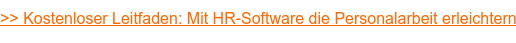 >> Kostenloser Leitfaden: Mit HR-Software die Personalarbeit erleichtern