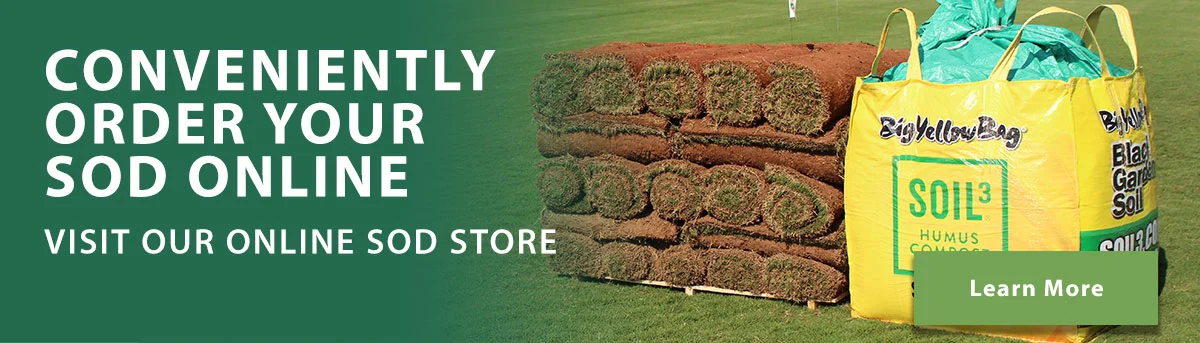 Conveniently_order_online_sod_store