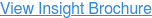 View Insight Brochure