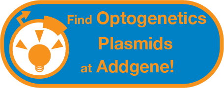 Find Optogenetics Plasmids at Addgene