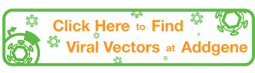 Haga clic aquí para encontrar vectores virales en Addgene