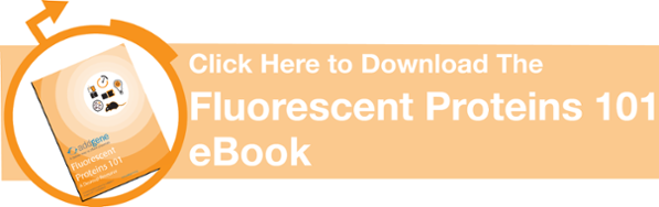 Download the Fluorescent Proteins 101 eBook