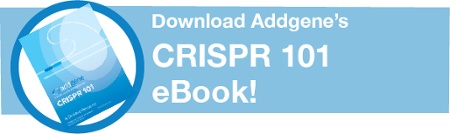 Téléchargez l'eBook CRISPR 101 d'Addgene !'s CRISPR 101 eBook!