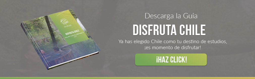 Disfruta Chile