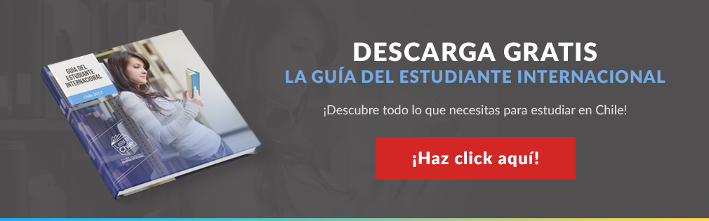 Disfruta Chile