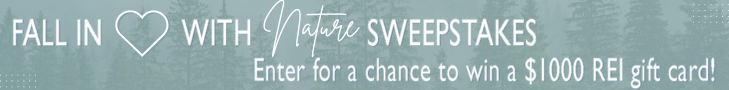 FILWN banner ad
