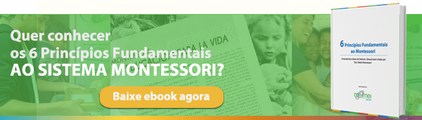 6 Princípios Fundamentais ao Montessori