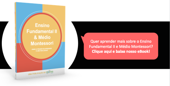 Ensino Fundamental
