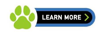 New call-to-action