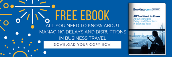 managing delays ebook