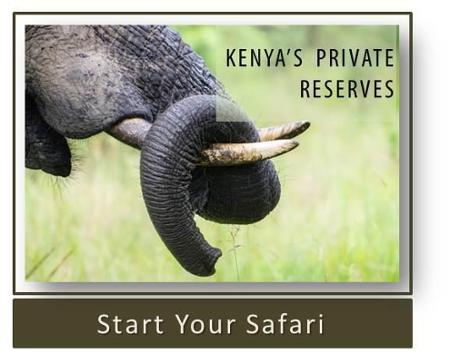 Kenya's Private Reserves Safari