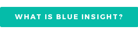 What is Blue Insight?