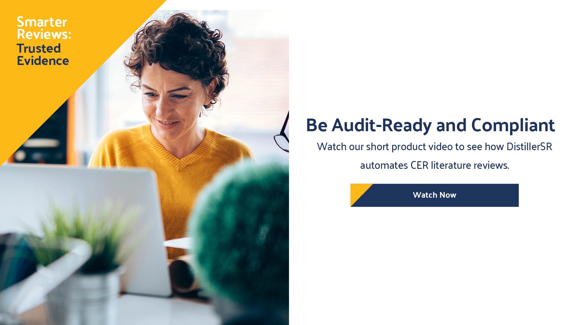 Cer literature review image