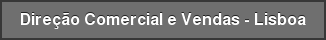 Direção Comercial e Vendas - Lisboa