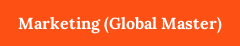 Marketing (Global Master)