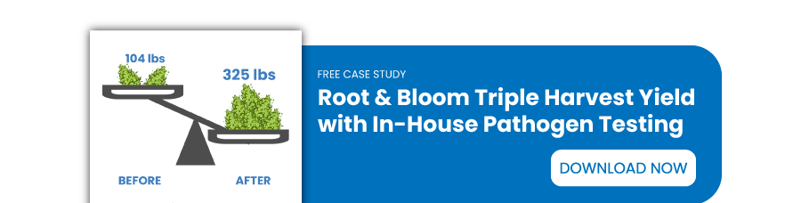 Root-&-Bloom-CTA