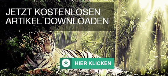 CTA_Mediendschungel