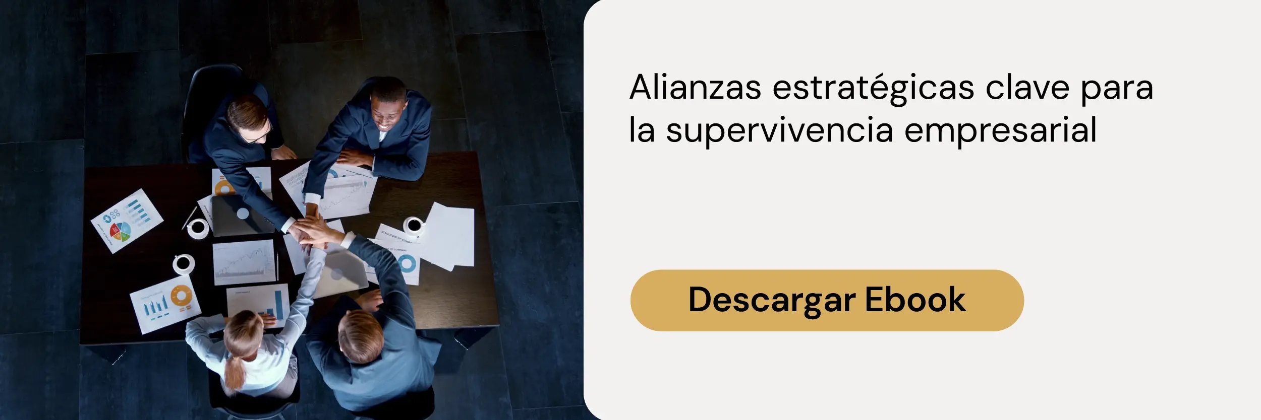banner - eBook Alianzas estratégicas claves para la supervivencia empresarial