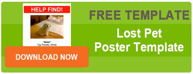 DOWNLOAD THIS FREE LOST DOG POSTER TEMPLATE