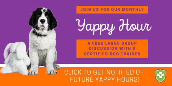 Get notified of future Yappy Hour events