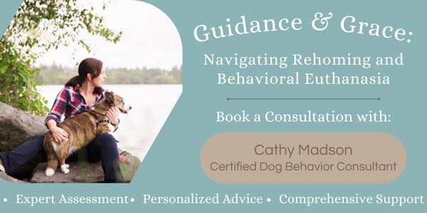 Guidance and grace to help with rehoming or behavioral euthanasia decisions