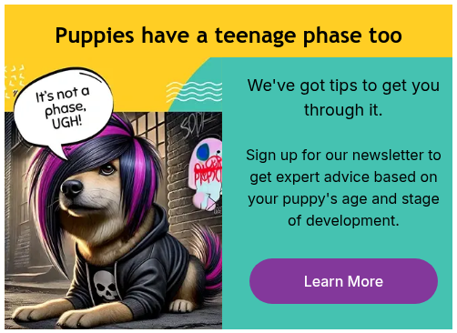 Puppies have a teenage phase too