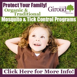 https://www.giroudtree.com/pest-control