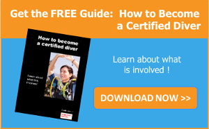 Download the guide: How to become a Certified Diver Download the guide: How to become a Certified Diver