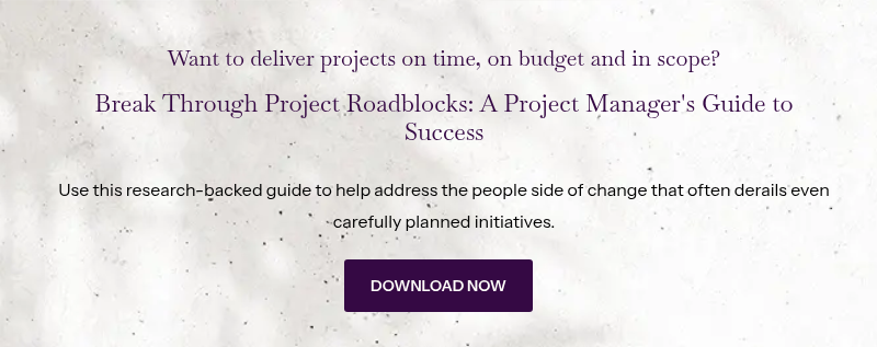 Want to deliver projects on time, on budget and in scope? &nbsp; Break Through Project Roadblocks: A Project Manager's Guide to Success &nbsp; Use this research-backed guide to help address the people side of change that often derails even carefully planned initiatives.