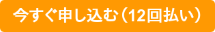 今すぐ申し込む（12回払い）