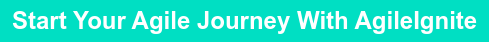 Start your agile journey with AgileIgnite