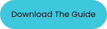 Download The Guide
