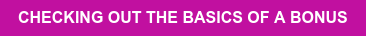 CHECKING OUT THE BASICS OF A BONUS