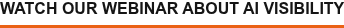 WATCH OUR WEBINAR ABOUT AI VISIBILITY