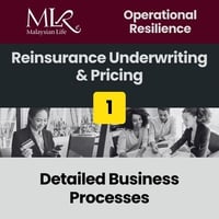 [OR] [MLRE] [E3] [CBS] [1] [DP] Reinsurance Underwriting & Pricing