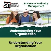 Understanding Your Organisation