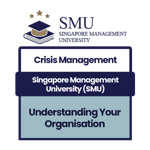 Understanding Your Organisation: SMU