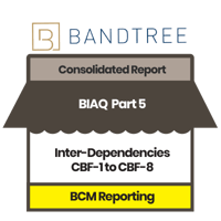 [BCM] [BT] [E4] [BIA] [CR] [P5] Inter-Dependencies for CBF-1 to CBF-8