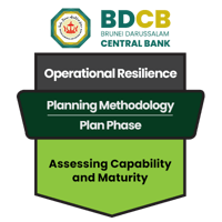 [OR] [BDCB] [P1] [S1] [C3] Assessing Capability and Maturity