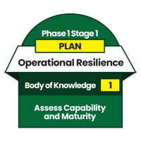 [OR] [BOK] [1] [P1] [S1] Assess Capability and Maturity