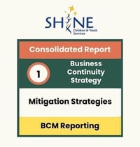 [BCM] [SHINE] [E4] [BCS] [CR] [T1] Mitigation Strategies