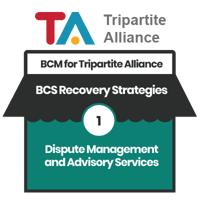 [BCM] [TAL] [E3] [BCS] [T2] [CBF] [1] Recovery Strategies