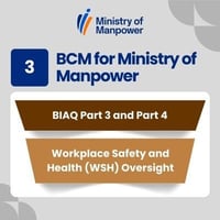 [BCM] [MOM] [E3] [BIA] [T2] [CBF] [3] Workplace Safety and Health (WSH) Oversight