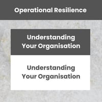 [OR] [UOB] [E1] [C2] Understanding Your Organisation