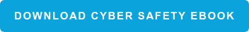 Download Cyber Safety eBook