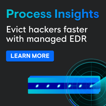 Managed EDR with Process Insights