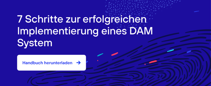 BM_Download_Quick Guide_DE_7 steps for a successful DAM implementation